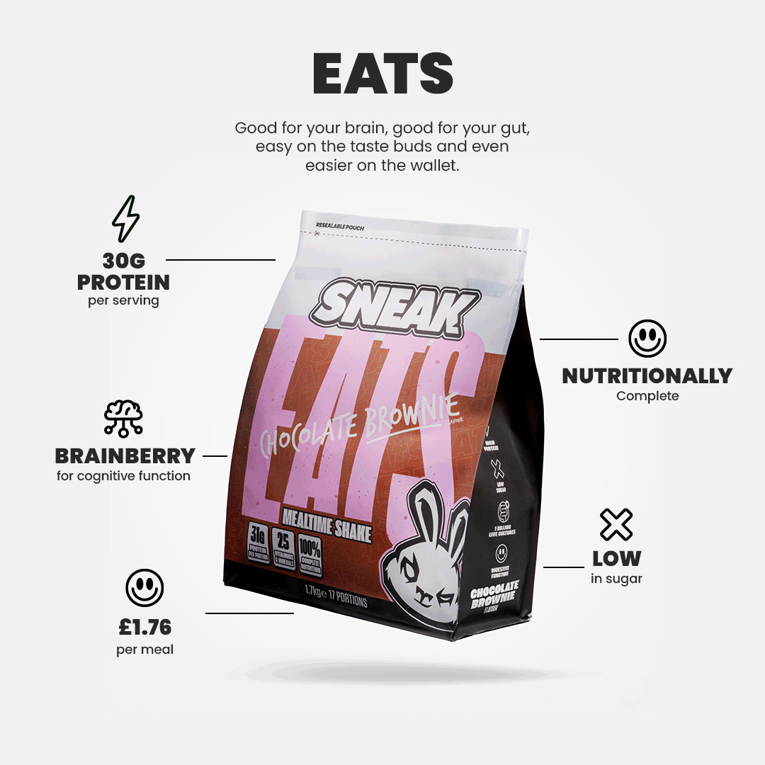 Sneak Eats High Protein Meals